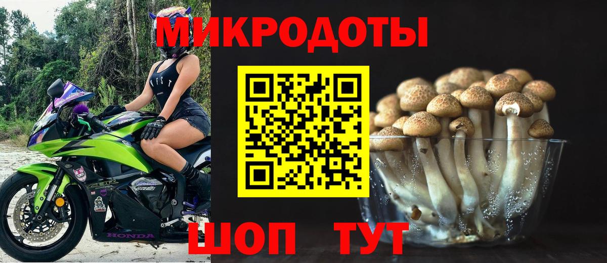 Надым  Псилоцибиновые грибы Cubensis  Вход с VPN 